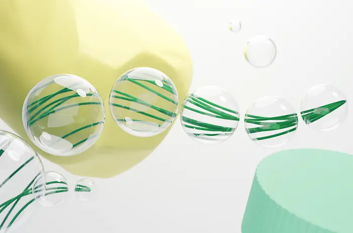 Más allá de la bolsa plástica: guía para un consumo responsable con el medio ambiente